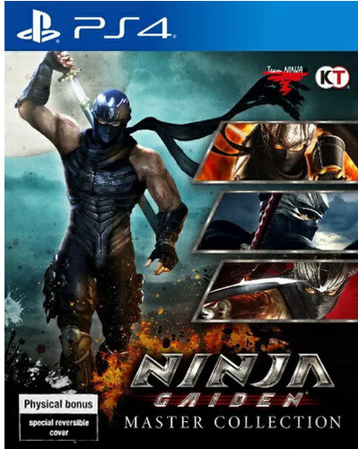 Ninja gaiden master - ninja,